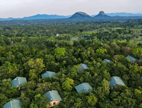 Sigiriya Forest Edge